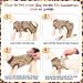 Buy Kuoser Dog Body Suit - Breathable Post-Op Recovery for Dogs & Cats | Anti-Lick e-Collar Alternative | International Shipping Available - Buy Online on GoSupps.com