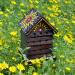 Artisan Bee Hotel - Buy Online on GoSupps.com