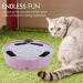 Buy Pawaboo Electric Mouse Cat Toys - Interactive Kitten Play Safe Scratch Mat & Chew Balls in Violet Taro - Buy Online on GoSupps.com