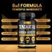2 Pack Tongkat Ali Fadogia Agrestis Supplement - Male Nitric Oxide Booster Longjack Extract Powder for Performance & Test Boost | 120 Capsules - Buy Online on GoSupps.com
