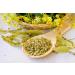 TASTY POTT Tasty Pott Organic Linden Blossom Tea | Tea | Flowering Tea | Linden Flowers | Herbal Tea | Vegan Nutrition | Flavorful Flower Tea | In a 200g Bag - Buy Online on GoSupps.com