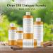 Sandalwood Fragrance Oil 8 fl. oz | Scented Oil for Soap Candles Bath Bombs & Aromatherapy Perfect for DIY Projects - Buy Online on GoSupps.com