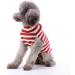 Buy Hrttsy Christmas Dog Sweater | Warm Winter Coat for Small & Medium Dogs | Cute Santa Costume for Pets - Buy Online on GoSupps.com