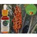 Nativilis TUCUMA VIRGIN OIL (Astrocaryum vulgare) Amazonian Rainforest HIGH CONCENTRATION VITAMIN-A BETA-CAROTENE - SKIN Hair Care - nourishing moisturizing antioxidant anti-inflammatory - Copaiba - Buy Online on GoSupps.com