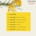 Siempreviva Yellow Summit Florida 10 ML - Premium International Shipping & Quality Assurance - Buy Online on GoSupps.com