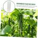 Happyyami 4 Pcs Vegetable Shaping Mold Fruit Cucumbers Mold Shaping Vegetable Forming Mould Mushroom Modeling - Buy Online on GoSupps.com