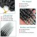 10 Inch Pre-twisted Grey Passion Twist Crochet Hair (Pack of 7) - Short Soft Pre-looped Braids for Black Women - Buy Online on GoSupps.com