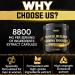 Muscle Builder Supplement with Creatine & Tongkat Ali - Boost Strength Stamina & Energy - 120 Capsules for 2-Month Supply - International Shipping Available - Buy Online on GoSupps.com