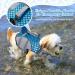 Shark Shape Dog Life Jacket - Blue L | Adjustable & Safe Swimming Vest for Pool & Beach - Buy Online on GoSupps.com