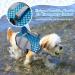 Adjustable Dog Swimming Vest - Rescue Jacket for XL Dogs | Shark Safety Lifesaver | Summer Swim Training | Blue - Buy Online on GoSupps.com