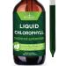 Chlorophyll Liquid Drops - Natural Concentrate Energy Booster Digestion and Immune System Supports Internal Deodorant Liver Function - 120 Servings 2 Fl Oz (Pack of 1)