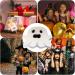 POCHY Halloween Clips - Funny Halloween Clips for Hair - Cute and Funny Ghost Shape Halloween Clips for Hair Small Halloween Hair Accessories for Halloween Costume - Buy Online on GoSupps.com