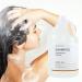 Hotel Emporium 1 Gallon Bulk Shampoo Refill - 100% Cruelty-Free White Tea Scent for All Hair Types | Essential Guest Bathroom Supplies for Hotels Motels & Gyms - Buy Online on GoSupps.com