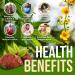 JOYLI Quit Smoking Gummies - All-Natural Lung Cleanse with Mullein Leaf & Reishi Mushroom - Vegan Lung Detox Gummies for Smokers - Buy Online on GoSupps.com