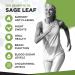 Sage Leaf Tablets for Menopause 2500mg - Supports Menopause & Perimenopause Symptoms | 120 Tablets Salvia Officinalis Vitamin Supplements - Buy Online on GoSupps.com