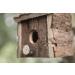 Garden Mile Natural Bird Box Houses Hotel - Traditional Wooden Bird Hut Hanging Wild Bird House Bird Nesting Boxes for Garden Log Cabin Outdoor Tree Balcony and Garden Decorations - Buy Online on GoSupps.com