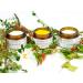 SYLVECO Birch Day Cream with Sea Buckthorn for Combination Skin with Betulin Face Cream for Dry and Impure Skin Natural Cosmetics for Face and Neck Size 50 ml - Buy Online on GoSupps.com