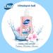 Dial Liquid Hand Soap Himalayan Pink Salt & Water Lily 7.5oz - Pack of 1 - Buy Online on GoSupps.com