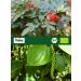 Buy Biojoy Organic Colourful Pepper Whole (250g) - Premium Pepper Corn for Mill - International Shipping Available - Buy Online on GoSupps.com