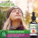 Organic Vitamin B Complex Liquid Drops for Women - Vegan Sublingual Supplement with B1 B2 B3 B5 B6 B12 for Stress and Energy - Buy Online on GoSupps.com