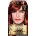 L'Oreal Paris Superior Preference Fade-Defying + Shine Permanent Hair Color  6AB Chic Auburn Brown  Pack of 1  Hair Dye 6AB Chic Auburn Brown 1 Count (Pack of 1)