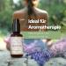ANISSA Natural Cosmetics Body Oil 100 ml for sensitive skin activation oil regenerates and nourishes without parabens and animal testing vegan & Made in Germany 100 natural - Buy Online on GoSupps.com