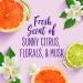 Aussie Hair Insurance Leave-in Spray, Citrus 8 Fl Oz - Pack of 1 - Buy Online on GoSupps.com