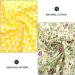 NUOBESTY 5 Sheets Printed Twill Fabric Cloth for Crafts Crafting Fabric Square Fabric Scrapbook Patchwork - Buy Online on GoSupps.com