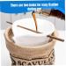 LAANCOO Maple Syrup Tapping Kit Tree Taps for Syrup Set Includes 12Pcs Maple Syrup Taps 5 Maple Syrup Filter & 12Pcs 24'' Extractor Tubes for Maple Syrup Collection Supplies Maple Syrup Taps - Buy Online on GoSupps.com