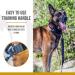 OneTigris Dog Collar with Metal Buckle for Dogs - Durable Black Collar (Medium) - International Shipping Available - Buy Online on GoSupps.com