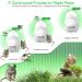 HOMEELF Ultrasonic Pest Repeller - 6 Pack Electronic Rodent Repellent for Rat, Mice, Roach, Spider & Insects - Buy Online on GoSupps.com