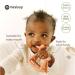 Miraloop Baby Bite Ring | Jellydog Silicone Teething Toy for Gum Relief | Safe & Stimulating - Buy Online on GoSupps.com