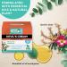 Laboratoire Suisse Devil s Cream Muscle and Joint Pain Relief - Devil s Claw & Essential Oils (200 g (Pack of 1)) - Buy Online on GoSupps.com