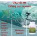 High Potency Vitamin B6 (Pyridoxine HCL) - 250mg | Supports Energy, Metabolism & Nervous System | 150 Veg Caps - Buy Online on GoSupps.com