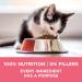 Purina ONE +Plus Dry Kitten Food Chicken - 1.8 kg Bag - Buy Online on GoSupps.com
