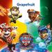 Sagrotan No-Touch Kids Soap - Paw Patrol Grapefruit 5x250ml Pack | Automatic Dispenser Friendly - Buy Online on GoSupps.com