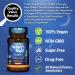 Triple Strength Nature's Night Sleep Meltz - 15mg Melatonin, 3 Month Supply, Sugar Free, Vegan, Non-GMO - Buy Online on GoSupps.com