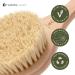 Hydrea London Premium Cactus Bristle Dry Body Brush - Exfoliating Vegan Dry Brush for Cellulite Removal and Lymphatic Drainage - FSC Certified Beechwood - Buy Online on GoSupps.com