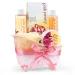 Home Spa Gift Basket Pleasantly Fragrant Peony Spa Set For Women Luxury Bath & Body Set For Women  Contains Shower Gel  Bubble Bath  Body Lotion  Peony Bath Salt and Puff in a Pink Feminine Tub Pink Peony