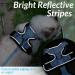 Rabbitgoo Cat Dishes & Leash Software | Premium Cat Harnesses & Sets for Ultimate Comfort - Buy Online on GoSupps.com