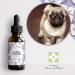 Floral Elixir Blend for Stressed Dogs - Quickly Comfort Your Dog. This Blend is a Natural Anti-Stress for His Daily Life (30ML) Pack of 2 - Buy Online on GoSupps.com