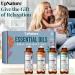 UpNature Essential Oil Roll On Gift Set - Peppermint Lavender Tea Tree Sweet Orange | Perfect Relaxation Gifts for Mom Women & Men | Ideal Stocking Stuffer - Buy Online on GoSupps.com