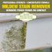 Buy STAR BRITE Outdoor Collection Mildew Stain Remover - 1 Gallon | Effective & Fast Shipping Worldwide - Buy Online on GoSupps.com