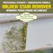 Star Brite Outdoor Collection All Surface Mildew Stain Remover 32oz - Protect Patio Furniture & Bar Tops - Buy Online on GoSupps.com