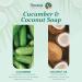 Himalaya Coconut and Cucumber Soap | Revitalizes Your Senses | Moisturizes and Hydrates Skin | Leaves Skin Softer and Smoother | Does Not Dry Skin - 75g (Pack of 6) Cucumber 12.5 g (Pack of 6) - Buy Online on GoSupps.com