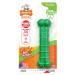 Nylabone Power Chew Textured Dental Chew Toy Chicken Medium - for dogs up to 16kg Green