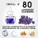 Air Wick Plug in Scented Oil Starter Kit with Lavender & Chamomile Eco-Friendly Essential Oils - 2 Warmers + 6 Refills - Air Freshener - 1 Count - Buy Online on GoSupps.com