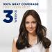 Clairol Root Touch-Up by Nice'n Easy 4RV Dark Burgundy Permanent Hair Dye - 1.1 Fl Oz - Buy Online on GoSupps.com