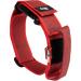 Shop Julius-K9 100HA-K-R-2015 Adjustable K9 Neck Band - Red-Gray with Handle Safety Closure 38-53 cm - International Shipping - Buy Online on GoSupps.com
