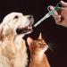 Nuanchu 2 Pieces Cat Dog Pill Shooter & Piller - Pet Syringe Pusher Soft Tip Medicine Feeder - Buy Online on GoSupps.com